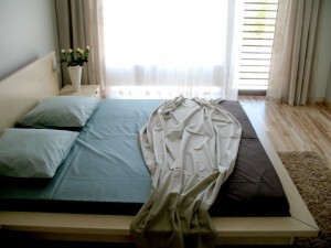 img_2733_copy_700[1]    